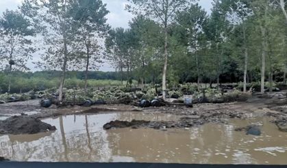 Kırklareli'de sel 3 can aldı