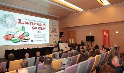 Antalya Antep fıstığına dönüyor