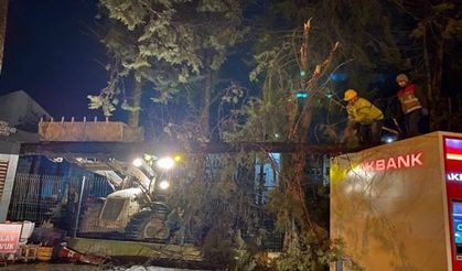 Fırtına çatıları uçurdu, ağaçlar devrildi