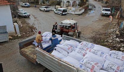 Antalya'da üreticilere süt yemi desteği