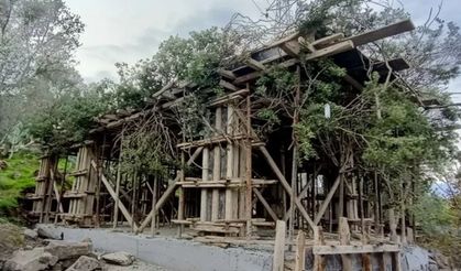 Bodrum'da kaçak inşaatı ağaç dallarıyla gizlemeye çalıştılar