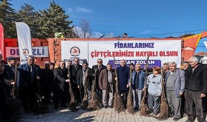Cevizin merkezi Denizli olacak