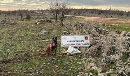 Dargeçit'te 25 kg tuzaklanmış patlayıcı ele geçirildi