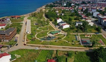 Ordu'da yeşil seferberlik