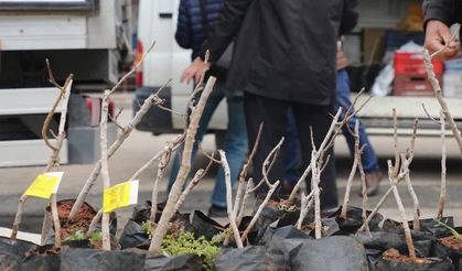 Konya'da kırsala 'Antep Fıstığı' desteği