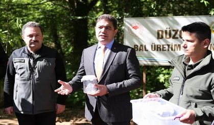 Düzce Valiliğinden gal arısı ile mücadele