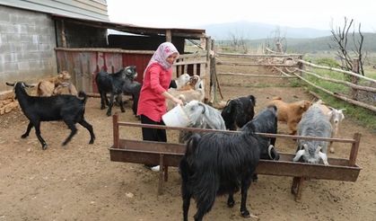 Muğlalı kadın üreticiler kazanıyor