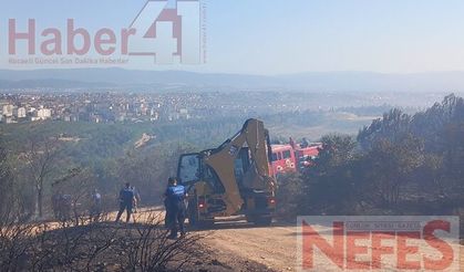 Kocaeli'nin Gebze İlçesinde Orman Yangını Paniğe Yol Açtı!