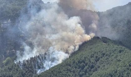 Çanakkale Kepez’de orman yangını