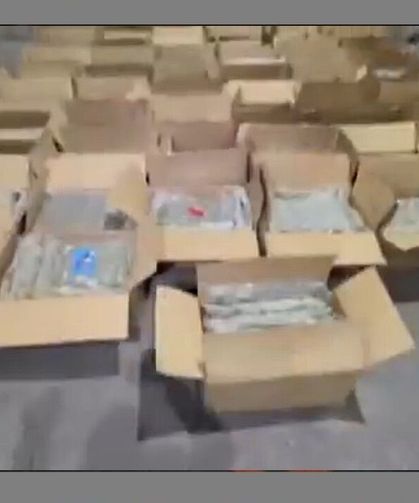 İstanbul Küçükçekmece’de 527 kilo skunk ele geçirildi