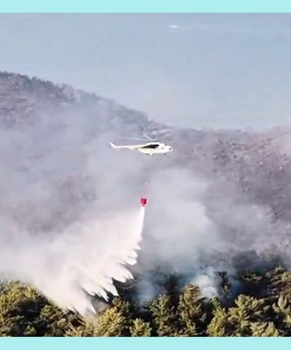 Muğla Milas'taki yangın büyük ölçüde kontrol altında