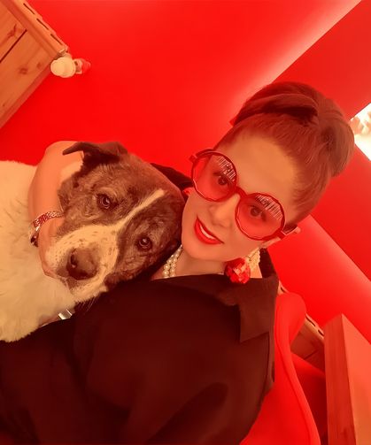 Esenyurt’ta 10 Yıllık Sahipli Köpek Barınakta Öldü: Aileden Otopsi ve Soruşturma Talebi