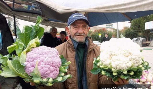 Mor karnabahar 'Pazar'ın gözdesi