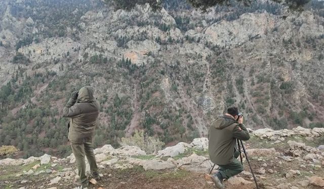Antalya’da yasadışı avcılığa suçüstü!