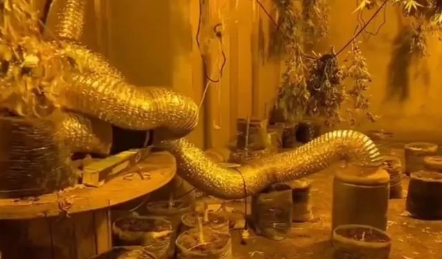 Bursa’da Jandarmadan uyuşturucu tacirlerine büyük darbe