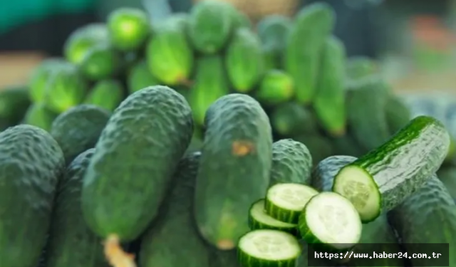 ABD’de salmonella alarmı! O salatalıklar toplatılıyor!