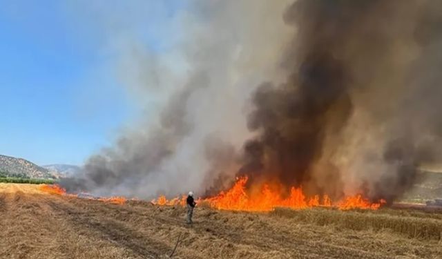 İzmir İtfaiyesi 48 saatte 220 yangına müdahale etti