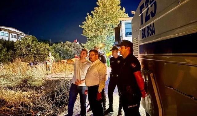 Mudanya Yolu’ndaki yangın kontrol altına alındı! 4 dönüm alan zarar gördü!