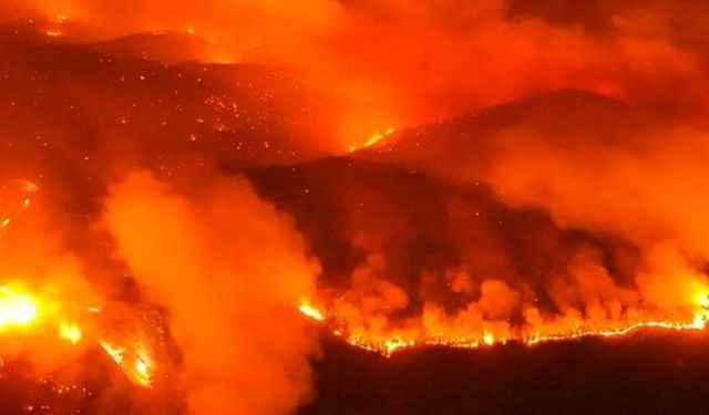 Bursa’daki orman yangını 4. gününde!