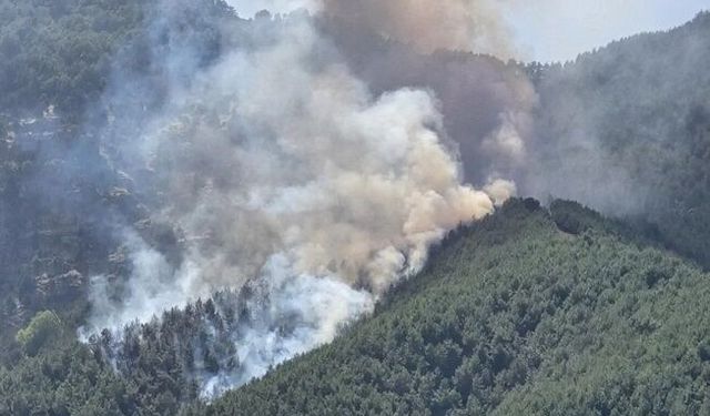 Bolu'da orman yangınına havadan ve karadan müdahale