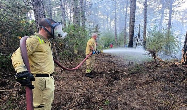 Bolu’daki Orman Yangını Kısmen Kontrol Altına Alındı, 20 Hektarlık Alan Etkilendi