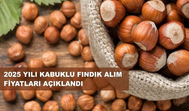 Fındık Taban Fiyatı Açıklandı!