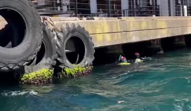 Kaybolan Rus yüzücü için İstanbul Boğazı'nda arama çalışmaları sürüyor