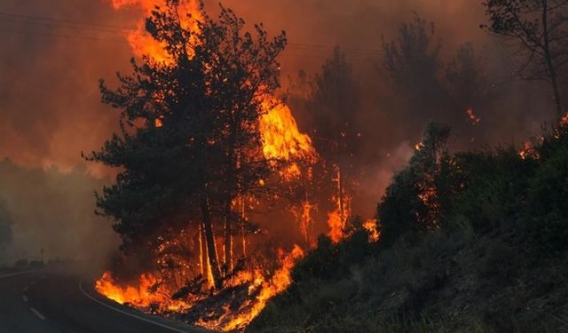 Antalya ve Muğla’da orman yangınlarına müdahale sürüyor