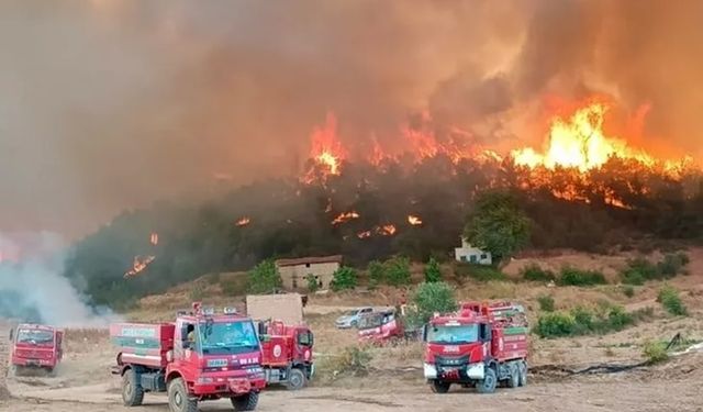 Orman gönüllülerine şehit statüsü getirildi