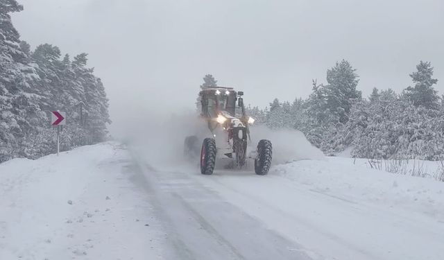 Doğu Anadolu’da kar nedeniyle 147 yerleşim yerine ulaşım kesildi