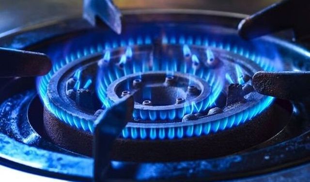 Bakan Göktaş’tan Doğal Gaz Desteği Ödemesi Açıklaması