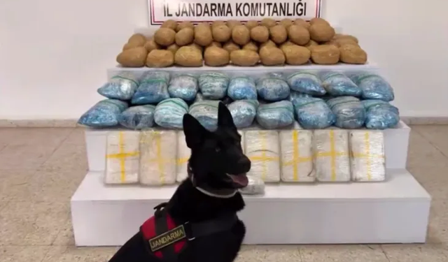 63 ilde 1 tonu aşkın uyuşturucu ele geçirildi