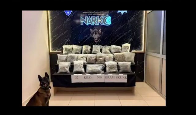 Edirne, Hamzabeyli'de 22,5 kilo skunk ele geçirdi