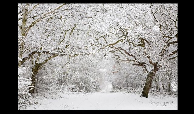 Meteoroloji’den 5 İl İçin “Sarı” Kodlu Uyarı: Kar ve Fırtına Kapıda