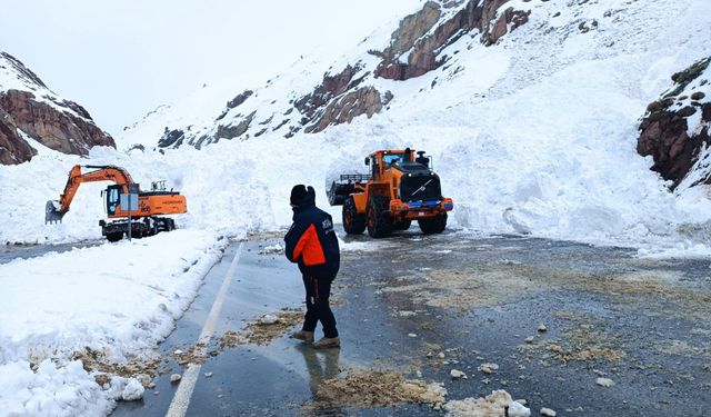 Van-Hakkari Karayolu’nda Çığ Alarmı!