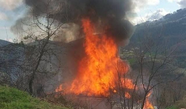 Samsun’da Yangın Faciası: 80 Yaşındaki Hediye Öztürk Hayatını Kaybetti