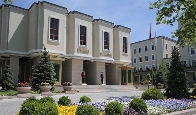 Sahipsiz sokak hayvanlarıyla ilgili üç belediye başkanı hakkında işlem başlatıldı