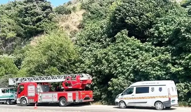 Hatay'da ağaca asılı ceset bulundu