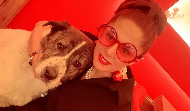 Esenyurt’ta 10 Yıllık Sahipli Köpek Barınakta Öldü: Aileden Otopsi ve Soruşturma Talebi