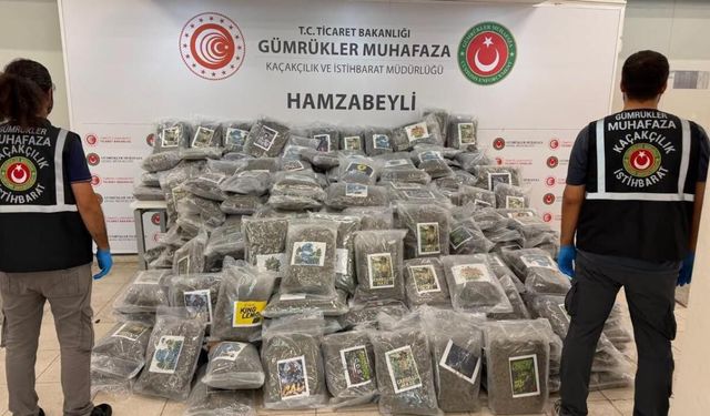 Hamzabeyli Sınır Kapısı’nda 287 Kilo Esrar Ele Geçirildi