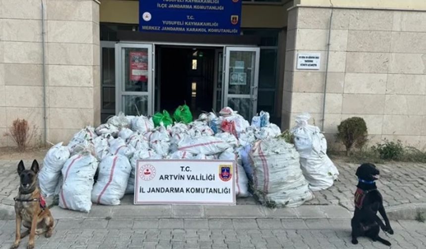 Artvin Jandarması 2024'te olayların yüzde 98'ini aydınlattı