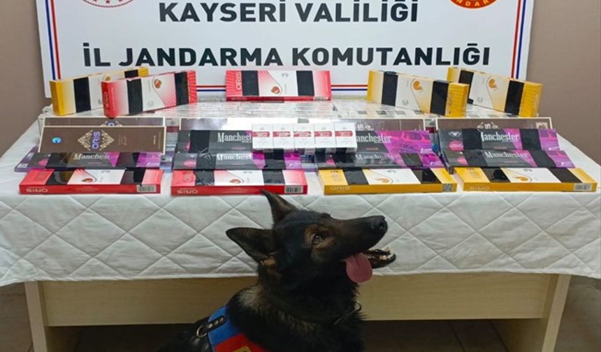 Jandarma'nın durdurduğu araçtan kaçak sigaralar çıktı!