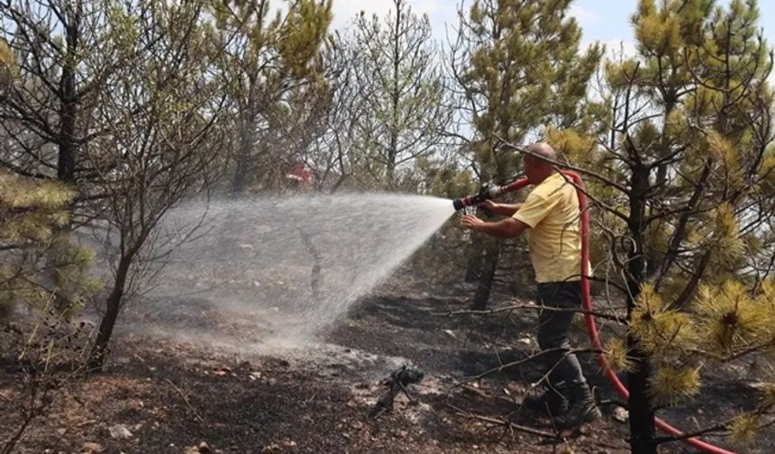Amasya’da otluk alanda başlayan yangın ormana sıçradı!