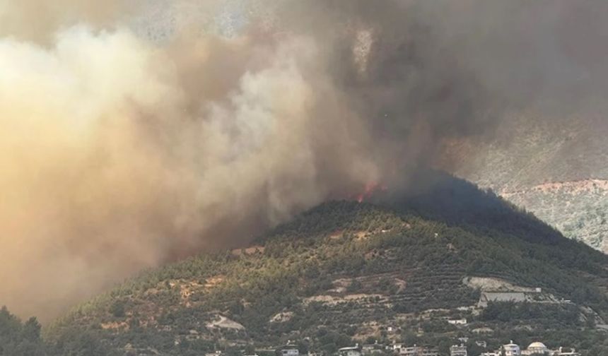 Hatay'da orman yangını