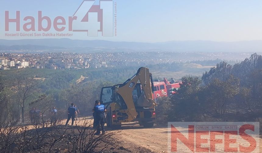 Kocaeli'nin Gebze İlçesinde Orman Yangını Paniğe Yol Açtı!
