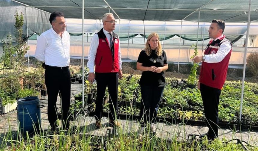 Yalova Tarım Müdürü Mustafa İlmeç Sahada: Çiftçiye Destek, Sorunlara Çözüm