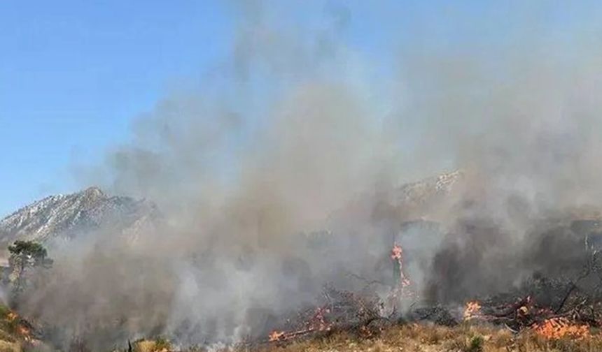 Şırnak’ta  orman ve örtü yangını