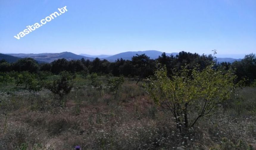 SAKARYA TARAKLIDA SATILIK TARLA
