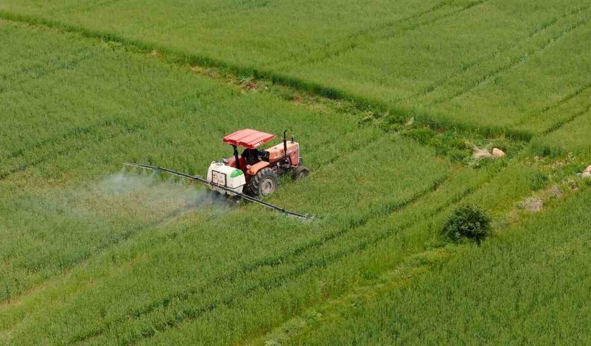 Tarımsal destek ödemesi hesaplara yatırılmaya başladı