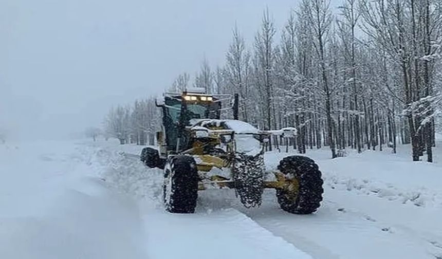 Erzurum'da aşırı kar yağışı ve tipi ulaşımı felç etti